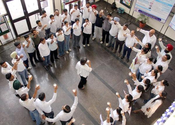 A series of educational and interactive activities, during the Celebrations of World Milk Day